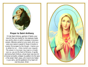 Immaculate Heart Mem Card Front
