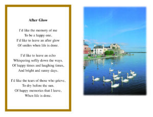 Swans In Spanish Arch Claddagh Galway