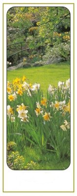 Peaceful Spring Garden & Daffodil Memorial Bookmark