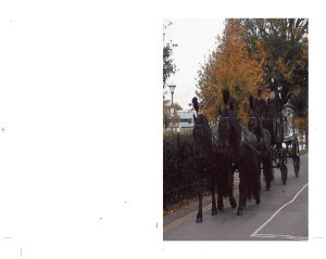Personalised Horse-Drawn Carriage Irish Wallet Memorial Card