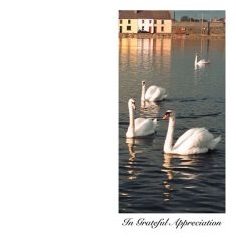 Personalised Swans In Grateful Appreciation Irish Wallet Memorial Card