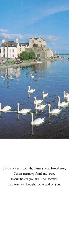 Serene Irish Swans Bookmark Memorial Card