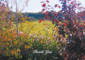 Garden Flowers Memorial Thank You Card
