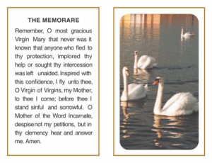 Tranquil Swans and Memorial Mass Card