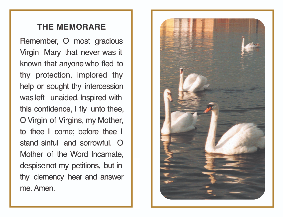 Tranquil Swans and Memorial Mass Card